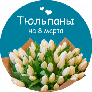 Купить тюльпаны в Кимовске
